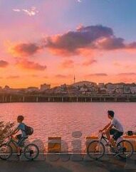 乐鱼体育手机登录-乐鱼体育手机登录，便捷体验与安全保障的完美结合