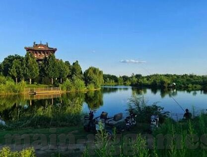 压森林舞会怎么保赢-压森林舞会保赢策略